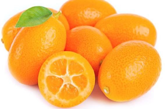 Kumquat