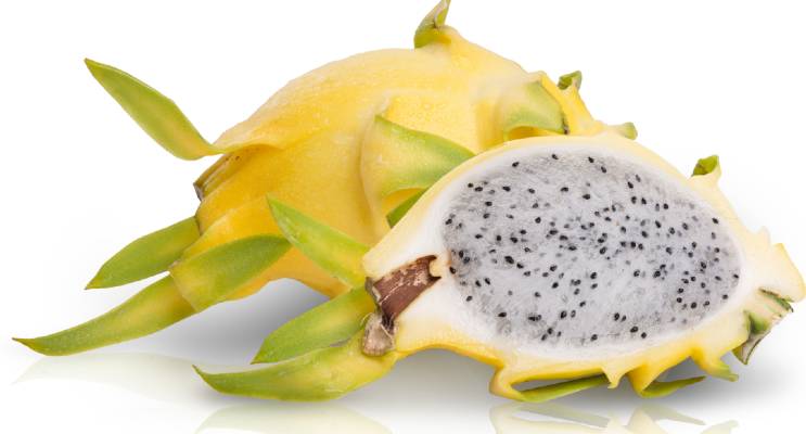pitahaya con piel amarilla y pulpa blanca (hylocereus isis gold)
